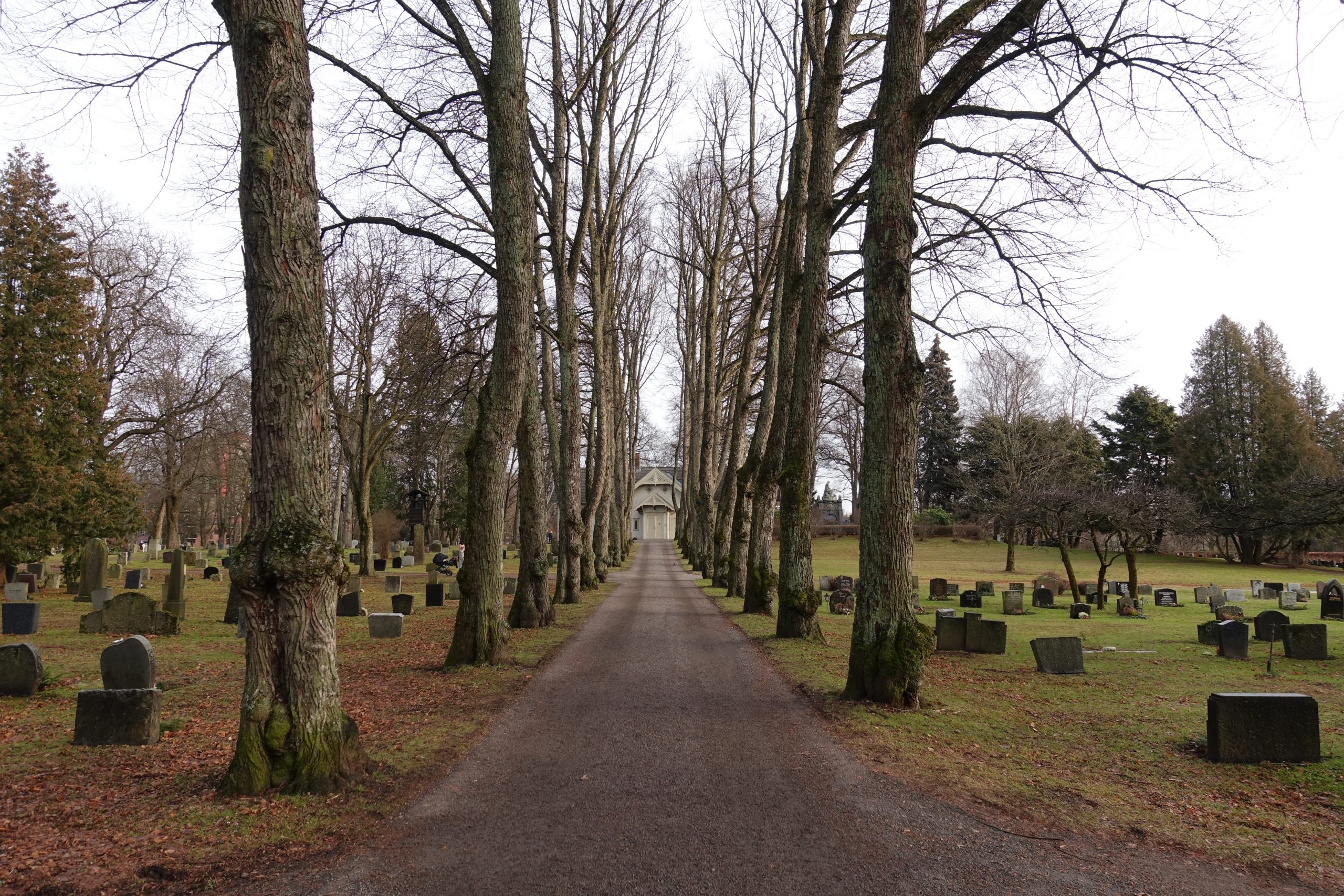 A picture of a pathway through a graveyard, lined either side with a row of trees and gravestones. At the end of the pathway is a wooden building.