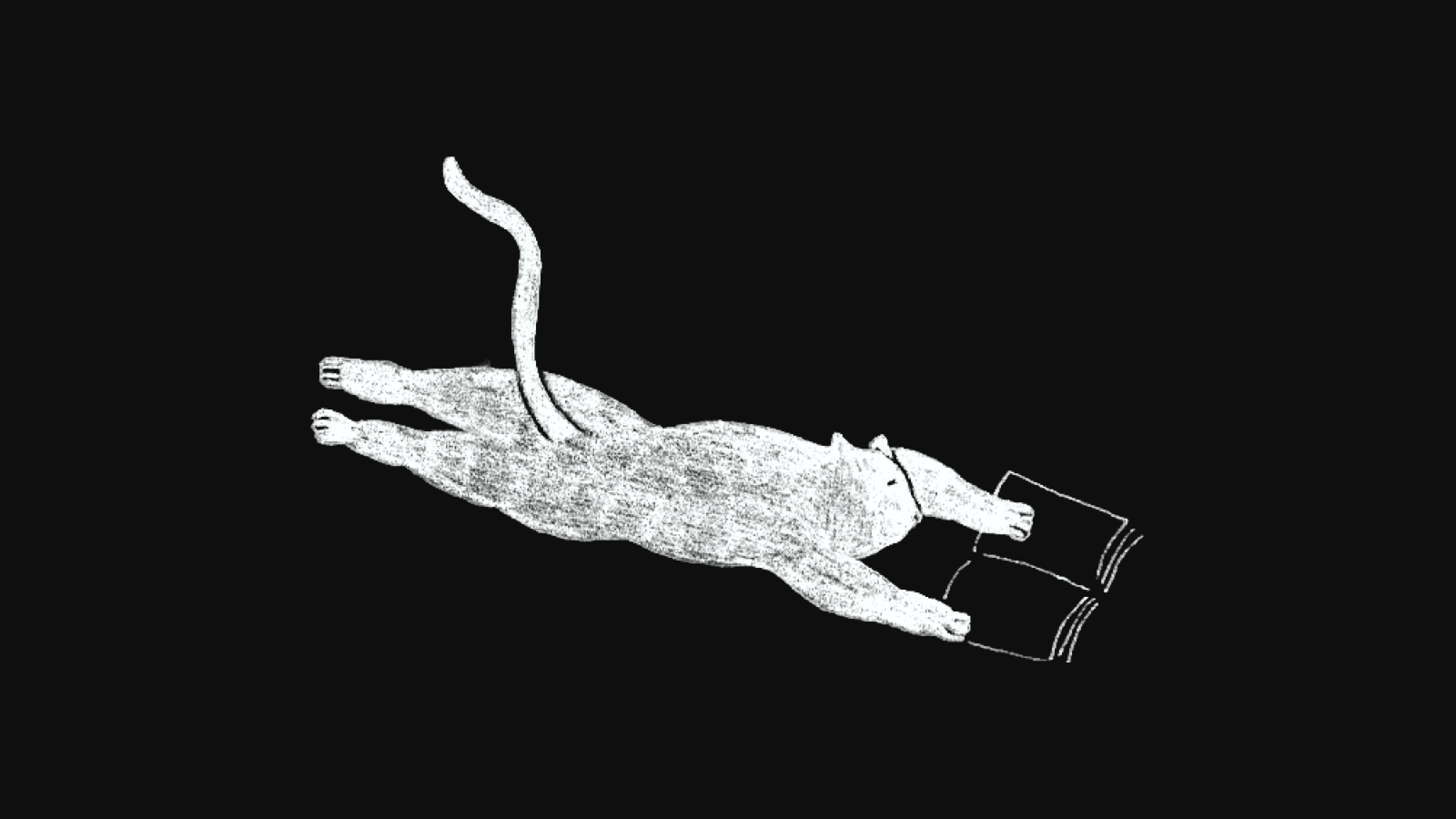 An illustration of a cat lying down reading a book
