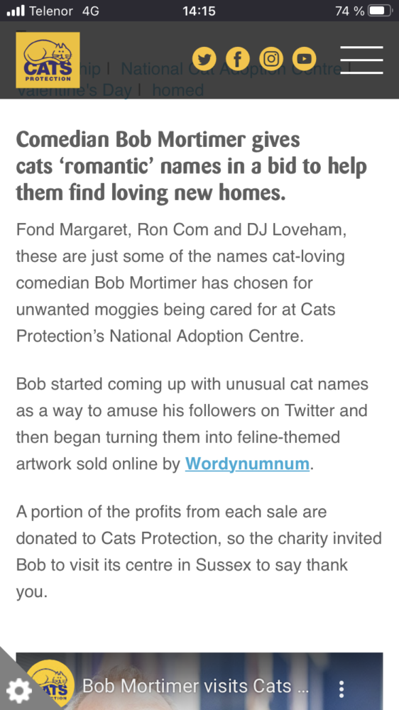A screenshot of the Cats Protection website article showing the headline about Bob Mortimer naming cats.