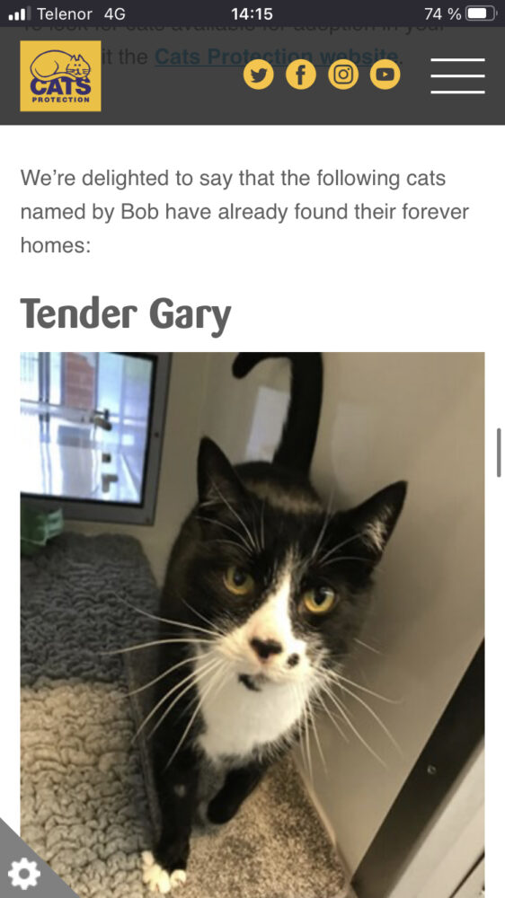 A screenshot of the Cats Protection website showing a photo of the cat Tender Gary with his name listed above.